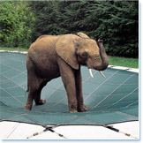 Mesh and Solid Safety Pool Covers