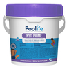 Poolife NST Chlorine Floater Item #92052