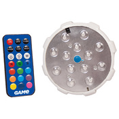 Color Changing Pool Wall Light with Remote Control - Item 4307