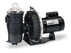 Pentair Challenger Pool Pump