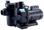 Swimming Pool Pumps On Sale