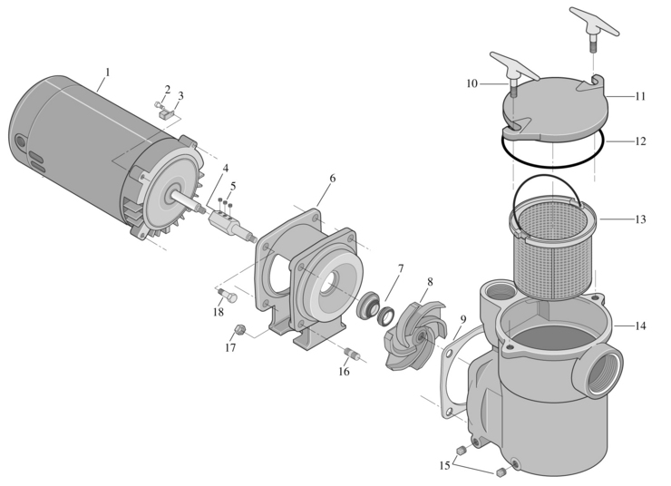 Sta-Rite CF6-Series replacement parts
