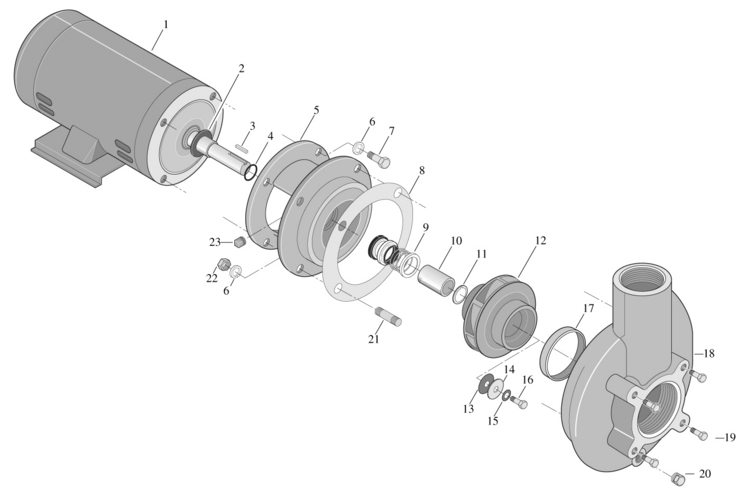 Sta-Rite Centrifugal-Pump-CCC-Series replacement parts