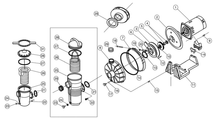Pentair WaterFall-Pump replacement parts