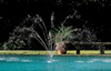 Polaris WaterStars Wall Fountain 11-100-00