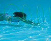 Slalom Hoops 9170