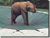 Pool Size: 18*40+4*8 Rectangle w/center end steps (=18*44) Mesh Loop-Loc Pool Cover for Inground Pools Item #LLM1073