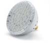 Splash LED Bulbs