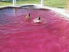 Party Pool Superconcentrate - RED PP-Red