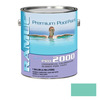 Ramuc Pro 2000 Chlorinated Rubber Pool Paint Aquagreen Item #920530001