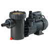 Speck E71-II Variable Speed Pump 1.1 HP - Standard Plug Item #AG195-V100T-0ST
