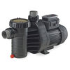 Speck A91-II Variable Speed Pump 1.1 HP- Standard Plug Item #AG215-V100T-0ST