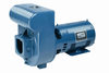 Pentair D Series Comm Cast Iron Pump Med Head 3HP 230/460v Three Phase Item #DMH3-171