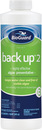 BioGuard Back Up 2 Algae Inhibitor Item 23050