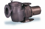 Pentair C Series Comm Bronze Pump Med Head 5 HP 220/440v Three Phase  - Item 011652
