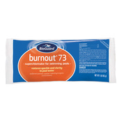 BioGuard BurnOut 73 Chlorine Pool Shock & Ozidizer - 1 lb Bag - Item 22860