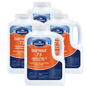 BioGuard BurnOut 73 Chlorine Pool Shock & Ozidizer - 5 lb - 4 Pack - Item 22862-4