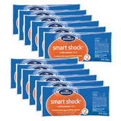 BioGuard Smart Shock Pool Chlorine 1 lb Bag - 12 x 1 lb Bags - Item 22947-12