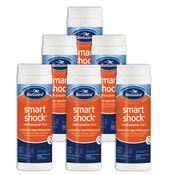 BioGuard Smart Shock Pool Chlorine 2 lb Bottles - 6 Pack-12 lb - Item 22948-12