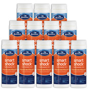 BioGuard Smart Shock Pool Chlorine 2 lb - bottles - 12 Pack - Item 22948-24