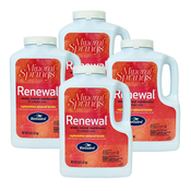 BioGuard Mineral Springs Renewal 4 Lbs - 4 Pack - Item 23541-4PK