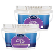 BioGuard Balance Pak 300 Calcium Hardness Increaser 12 lb - 2 Pack - Item 52220-2