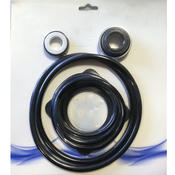 American Ultra Flow & Bronze Pump Seal Go-Kit - Item GO-KIT20