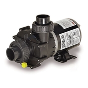 Speck E75-III 1.5 THP Two Speed Spa Pump 115V - Item SP206-2150T-000