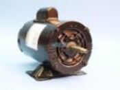 Pump Motor Bluffton Thru-Bolt 48YFr 2Spd 1.5" HP 230V 8.8/2" .2A - Item TB215TVE