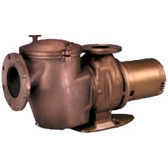 Pump, Pentair C Series CHK-100 W/ Trap, 10hp, 3ph, Bronze - Item 34-102-1442
