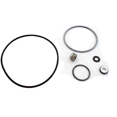Seal Kit, Pentair Sta-Rite DuraGlas II - Item 35-102-1141