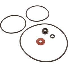 Repair Kit, Water Ace RSP, Includes Seal & O-Rings - Item 35-675-1020