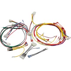 Wire Harness, Pentair MasterTemp 125, 120/240v - Item 47-102-1320