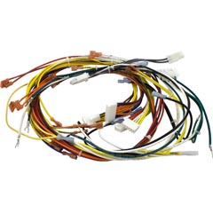 Wire Harness, Pentair, 115v/230v, Heater - Item 47-102-1339