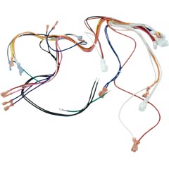 Wire Harness, Hayward Low NOx, 230v, Main Item #47-150-2048