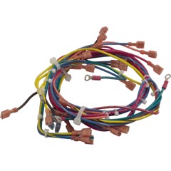 Wire Harness, Raypak 130A, IID - Item 47-197-1103