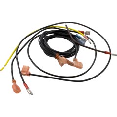Wire Harness, Raypak 55A, IID - Item 47-197-1382