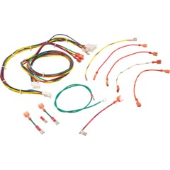 Wire Harness, Raypak RP2100, R185-R405, IID - Item 47-197-1828