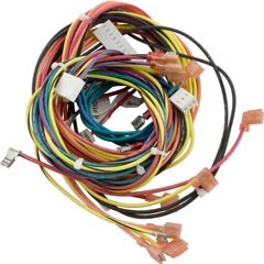 Wire Harness, Raypak R185B/206A, IID - Item 47-197-1851