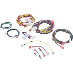 Wire Harness, Raypak 207A - Item 47-197-2136