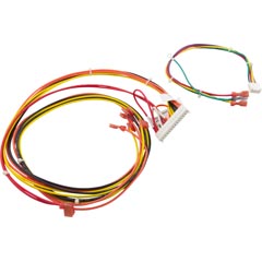 Wire Harness, Raypak 156A, Digital - Item 47-197-2186