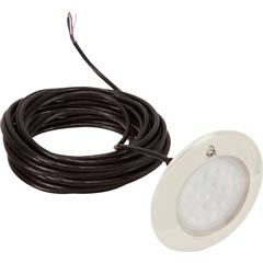 Pool Light, Pent IntelliBrite 5g White LED, 12v, 50ft Cord Item #56-102-1265