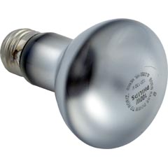 Replacement Bulb, Hayward, Astrolite II, 115v, 100w - Item 57-150-1010