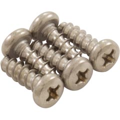 Screw Kit, Zodiac Polaris 9100, Phil, 4 x 12A4 - Item 87-100-2500