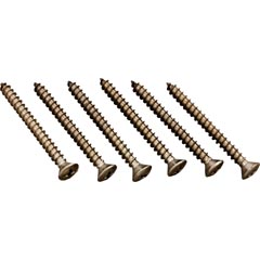 Screw, Hayward Pool Cleaners, Middle Body, Quantity 6 - Item 87-150-1126
