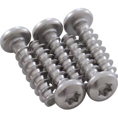 Screw,Handle Assy,Hayward SV/SVXL/TS,M5x20mm T-20,Pan,qty 5 - Item 87-150-1588