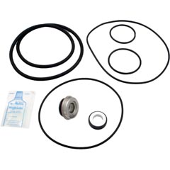 Go-Kit 36, Aqua Flo Dominator/C Series Pump, Pre-`95 - Item 90-423-3004