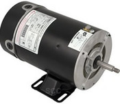 Pump Motor Waterway Thru-Bolt 48YFr 2Spd 2.5" HP 230V 11.0/2" .9A - Item 3421020-1