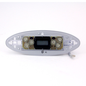 Spa Side Control EleCenteronic (MTSII) Master Panel 5" BTN LCD  - Item 650-0373