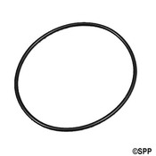 Valve O-RinGray Waterway Truseal Serviceable Check Valve - Item 805-0239